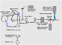 Emulator system diagram