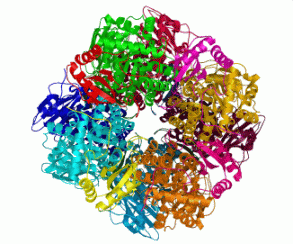 Hemoglobin